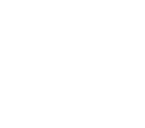 portfolio wordpress theme